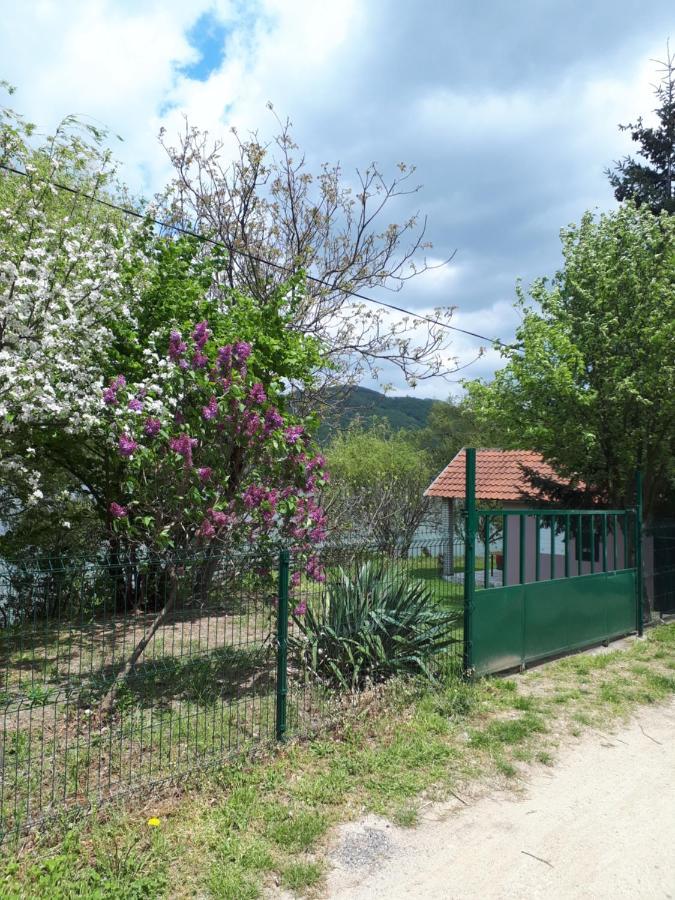 Dedin Raj Villa Golubac Luaran gambar