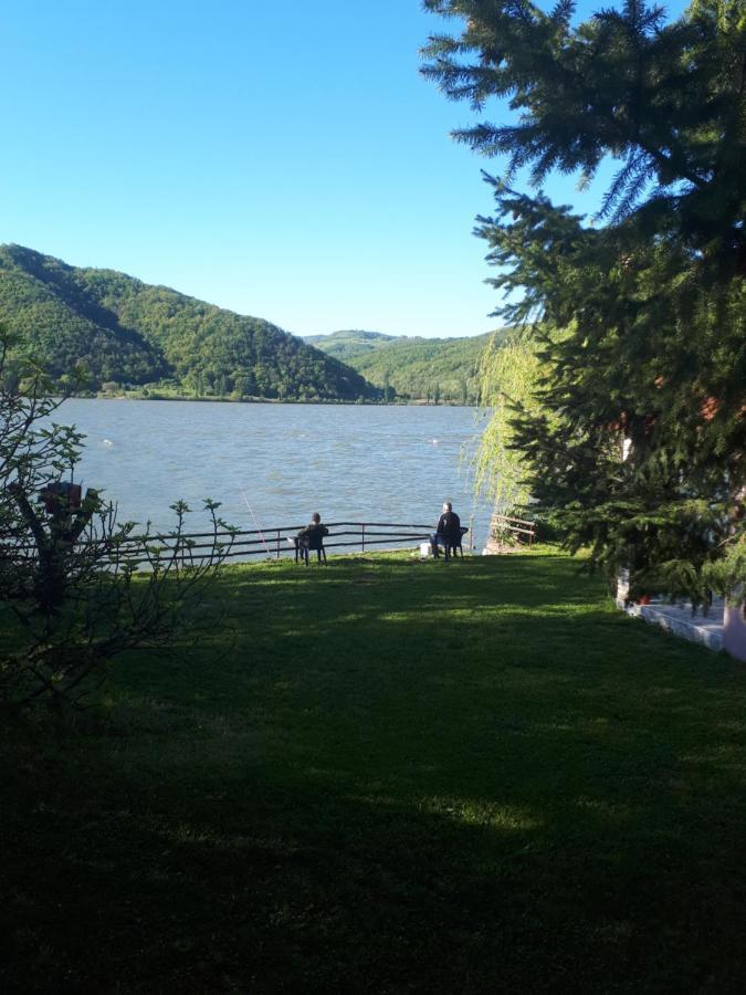 Dedin Raj Villa Golubac Luaran gambar