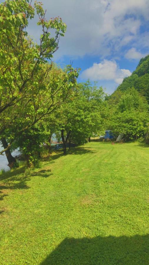Dedin Raj Villa Golubac Luaran gambar