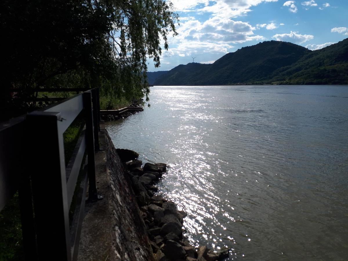 Dedin Raj Villa Golubac Luaran gambar